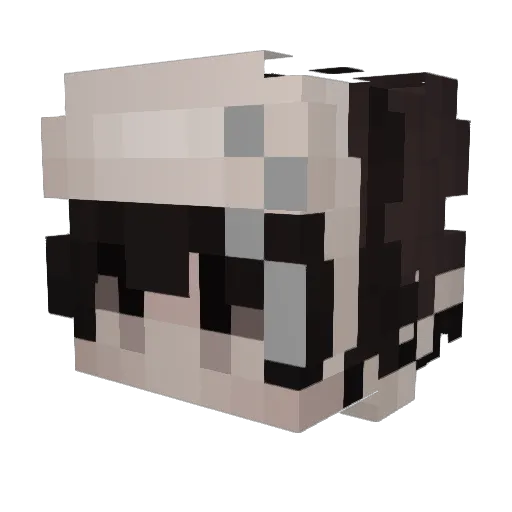 LifeDecay Minecraft avatar head, 3D render