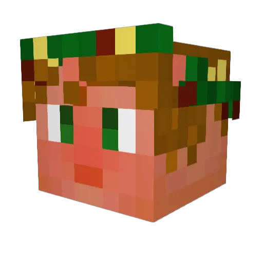 LifeIs_Ugh Minecraft avatar head, 3D render