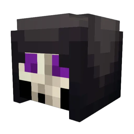 LifeKnight28 Minecraft avatar head, 3D render