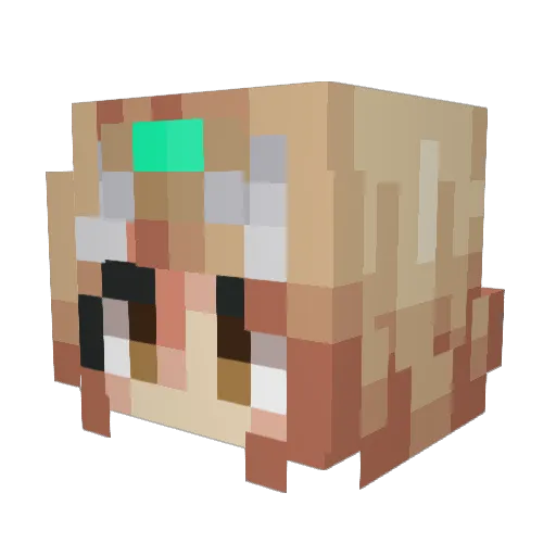 LifeSabers Minecraft avatar head, 3D render