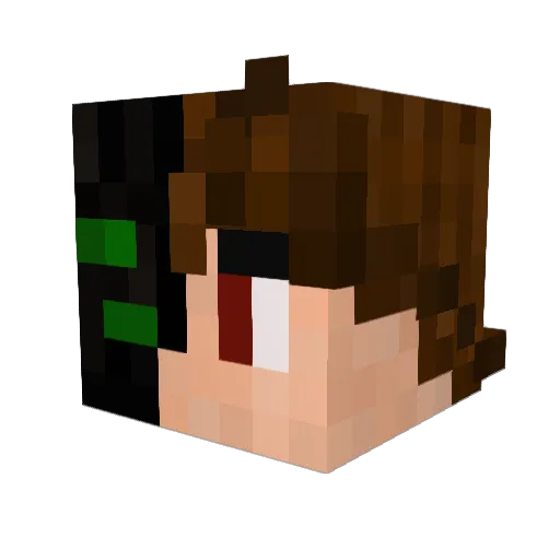 Life_101 Minecraft avatar head, 3D render