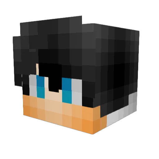 Life_Teacher Minecraft avatar head, 3D render