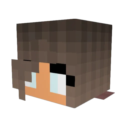 Life_is_Life Minecraft avatar head, 3D render