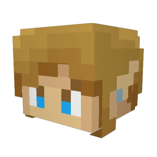 Lifeisgood643 Minecraft avatar head, 3D render