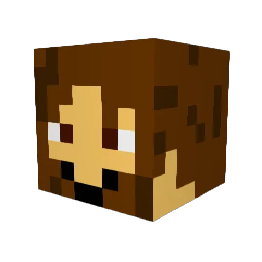 Lifeliffi Minecraft avatar head, 3D render