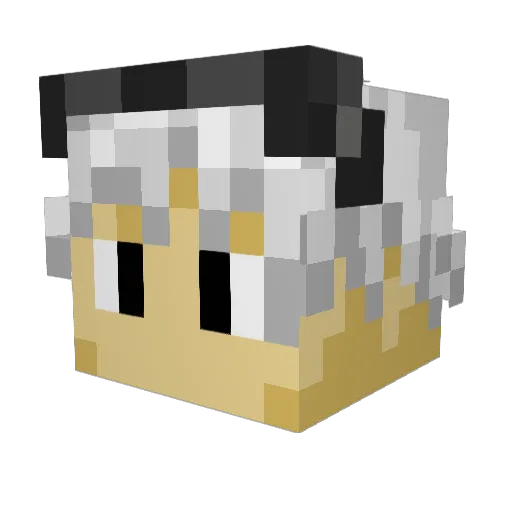 Lifelink Minecraft avatar head, 3D render