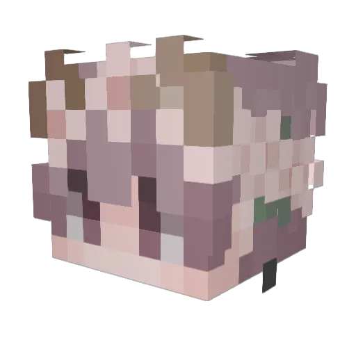 Lifeofacookie Minecraft avatar head, 3D render