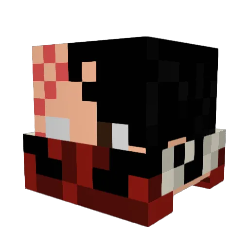 Lifer18 Minecraft avatar head, 3D render