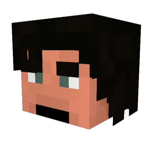 Lifescree Minecraft avatar head, 3D render