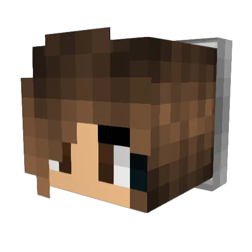 Lifetee Minecraft avatar head, 3D render