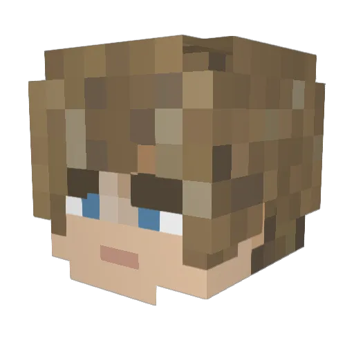 Lifis776 Minecraft avatar head, 3D render