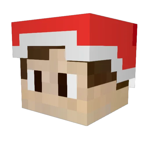 Liftcosmicer Minecraft avatar head, 3D render