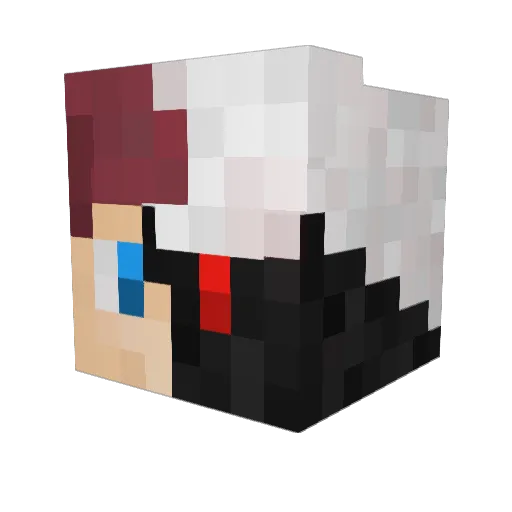 LiftedIsland Minecraft avatar head, 3D render