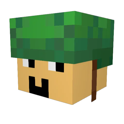 Liftic Minecraft avatar head, 3D render