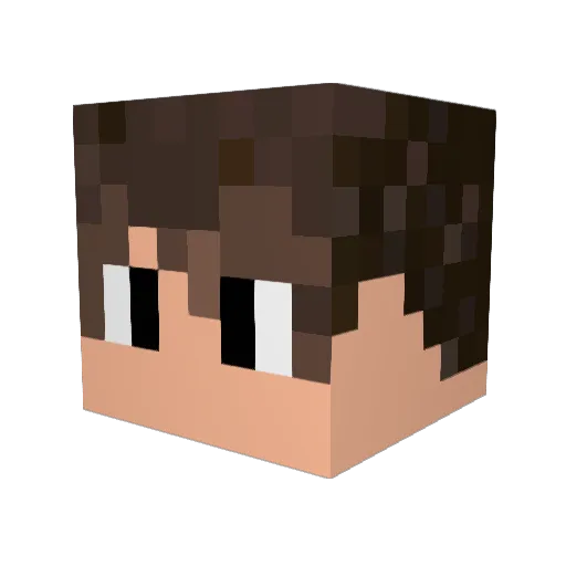 Lifty_Japan Minecraft avatar head, 3D render