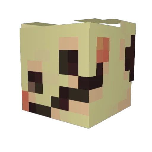 Lifui Minecraft avatar head, 3D render