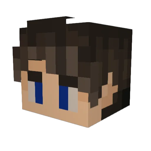 Liga_Gerards Minecraft avatar head, 3D render