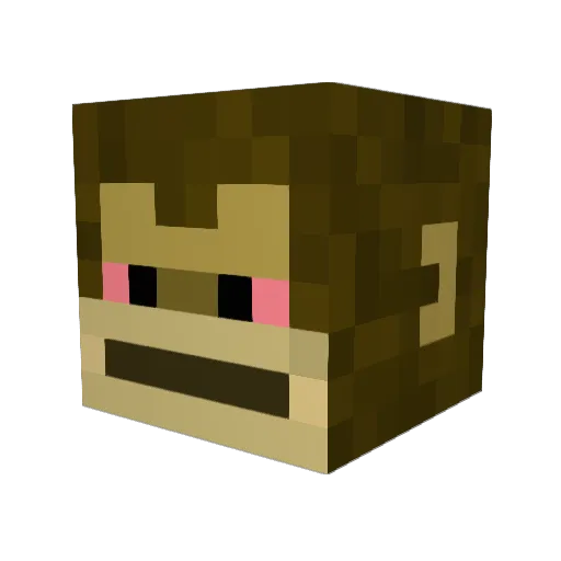Ligadz Minecraft avatar head, 3D render