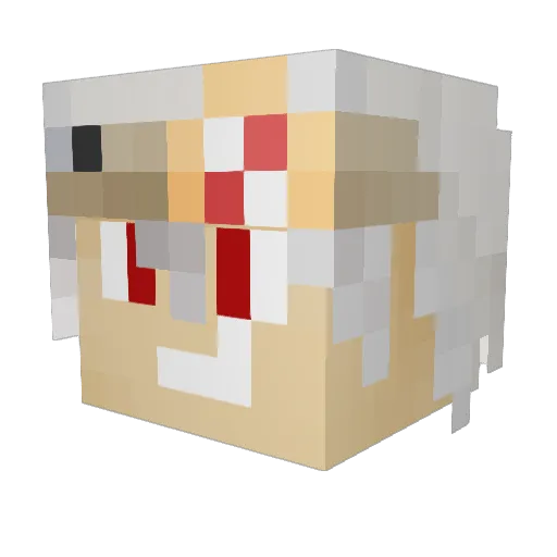 Liger29 Minecraft avatar head, 3D render