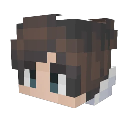 Ligg3y Minecraft avatar head, 3D render