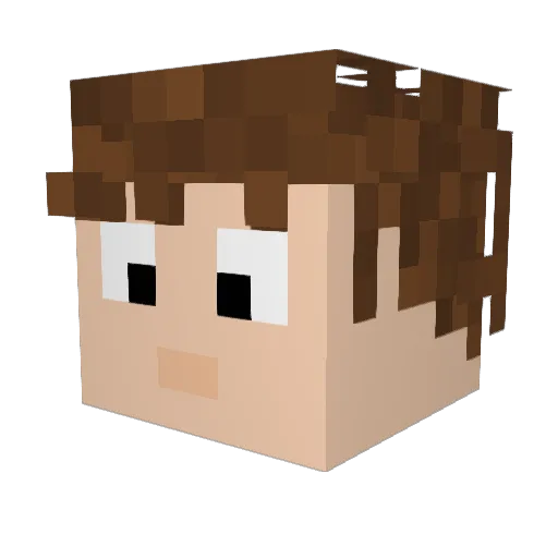 Liggy_ Minecraft avatar head, 3D render