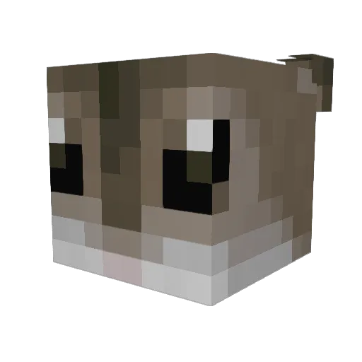 Light0212 Minecraft avatar head, 3D render