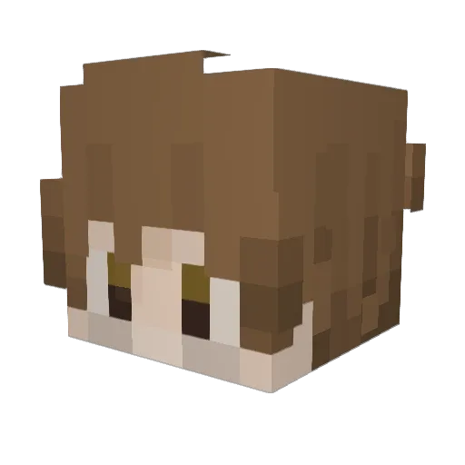 Light65 Minecraft avatar head, 3D render