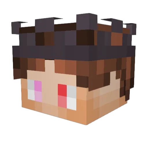 LightAmethyst Minecraft avatar head, 3D render