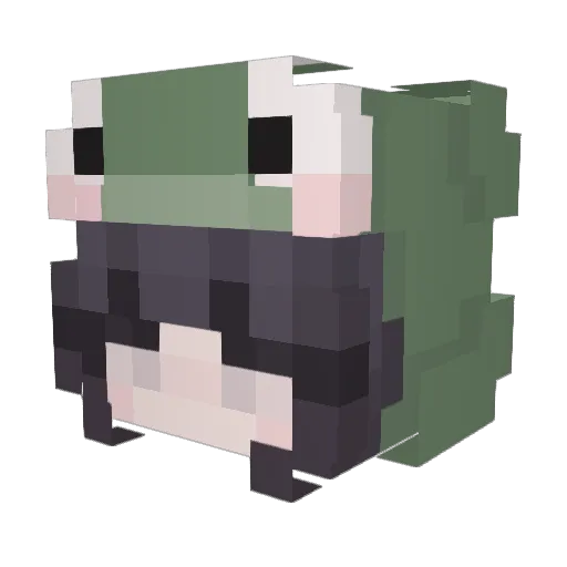LightDragon1963 Minecraft avatar head, 3D render