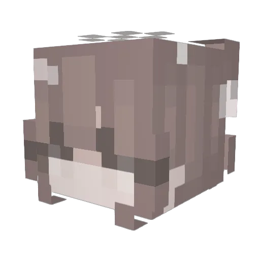 LightHope01 Minecraft avatar head, 3D render