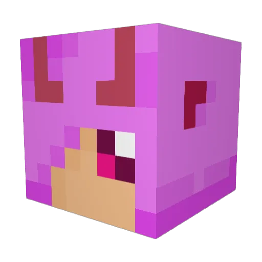 LightNinja142 Minecraft avatar head, 3D render