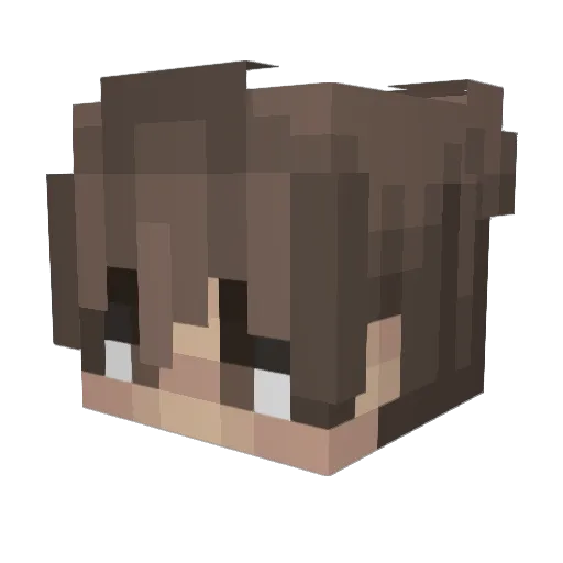 LightOfEclipse Minecraft avatar head, 3D render