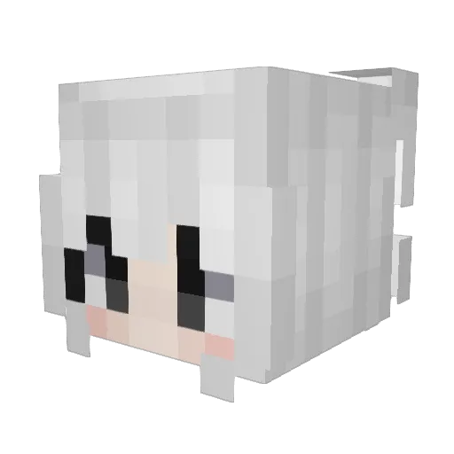 LightRa1n_n Minecraft avatar head, 3D render