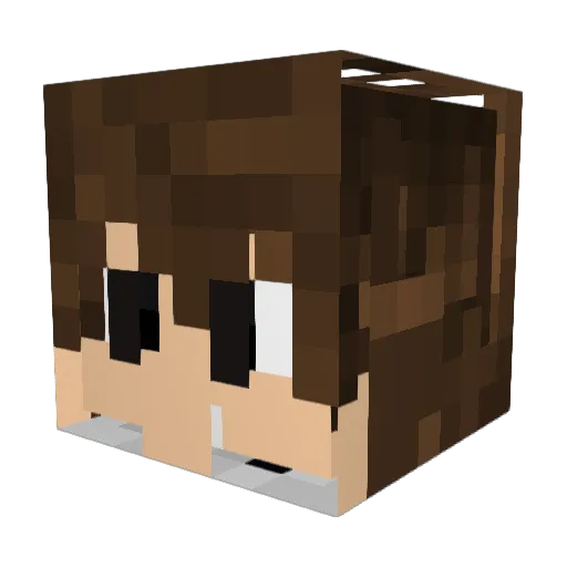 LightStorm257 Minecraft avatar head, 3D render