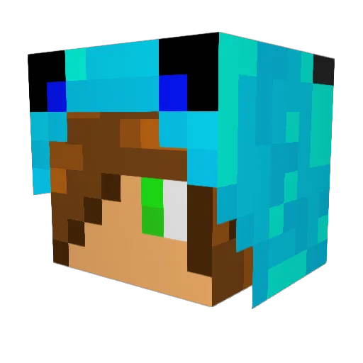 LightStorm98 Minecraft avatar head, 3D render