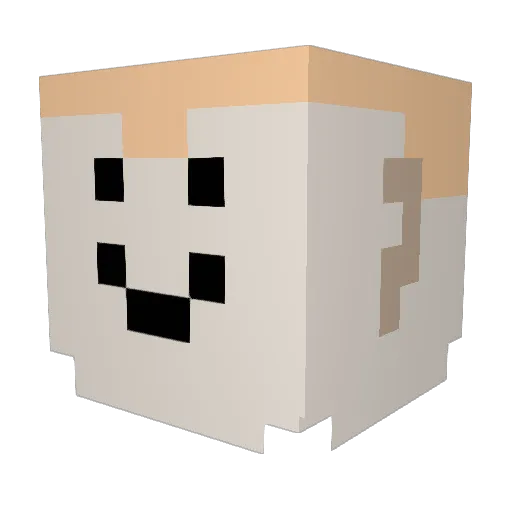 LightWolf12745 Minecraft avatar head, 3D render