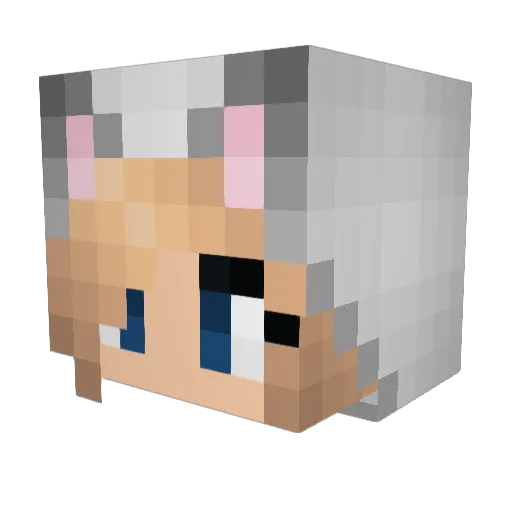 Light_Horizon Minecraft avatar head, 3D render