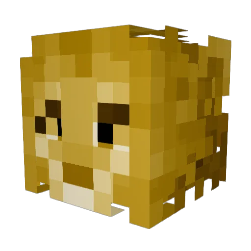 Light_Jeffy Minecraft avatar head, 3D render