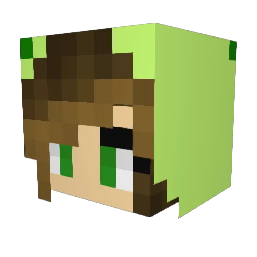 LighteningFluff Minecraft avatar head, 3D render