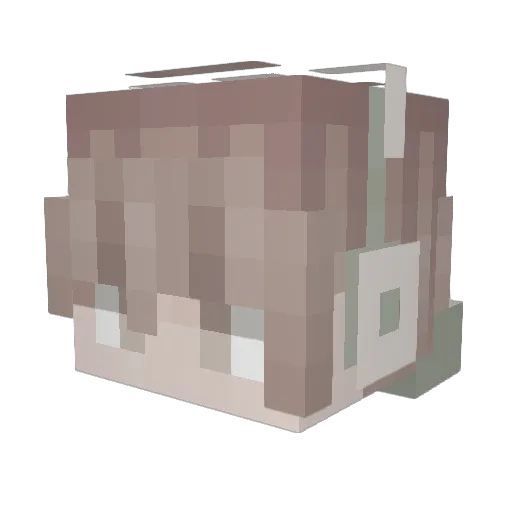 Lighterrfire Minecraft avatar head, 3D render