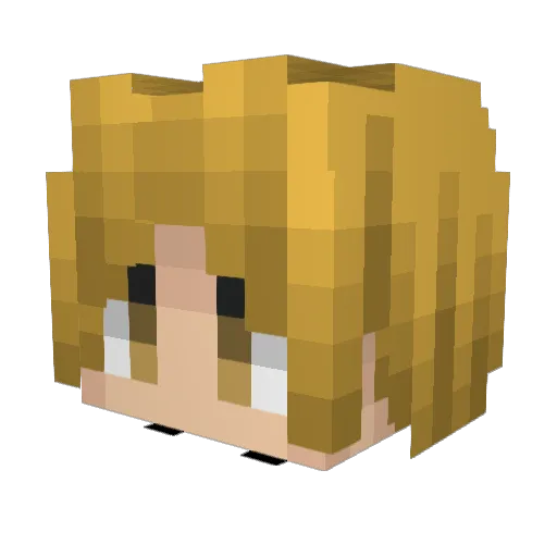Lightfire228 Minecraft avatar head, 3D render