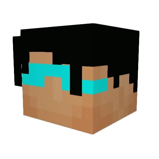 Lightford Minecraft avatar head, 3D render