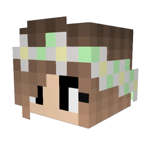 Lightingbug18 Minecraft avatar head, 3D render