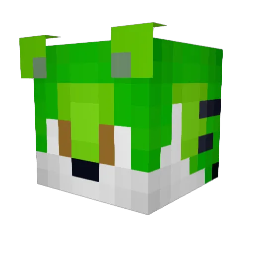 Lightman406 Minecraft avatar head, 3D render