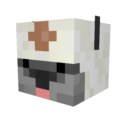 Lightning1123 Minecraft avatar head, 3D render
