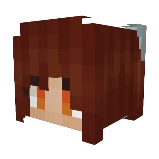 LightningDaisy Minecraft avatar head, 3D render