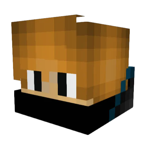 LightningFish99 Minecraft avatar head, 3D render