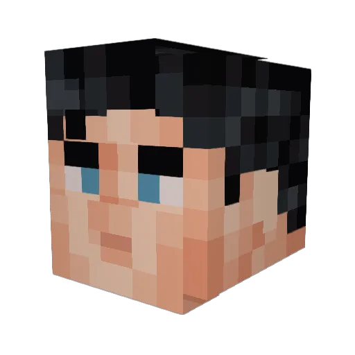 LightningFox86 Minecraft avatar head, 3D render