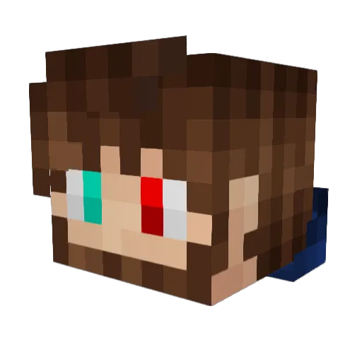 LightningFoxx73 Minecraft avatar head, 3D render