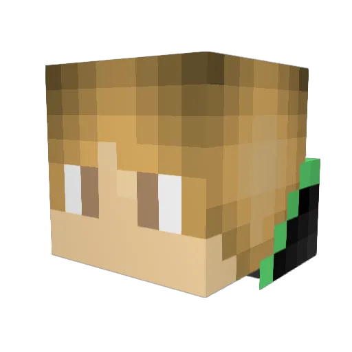 LightningPro123 Minecraft avatar head, 3D render